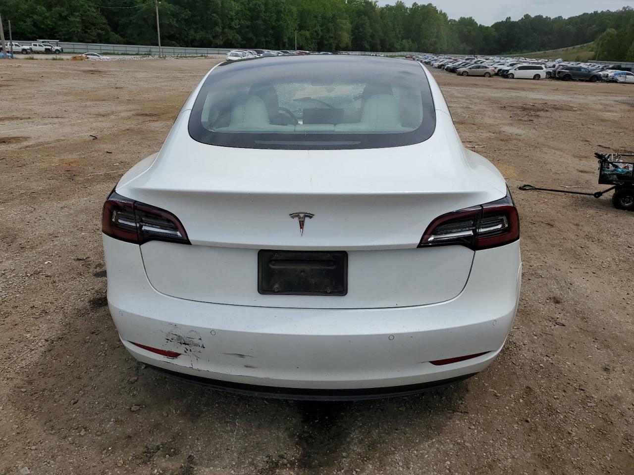 2022 TESLA MODEL 3  VIN:5YJ3E1EA5NF351193