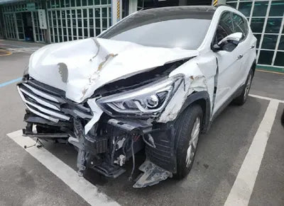 2018 Hyundai Santa FE KMHSW81UBJU804431 VIN:KMHSW81UBJU804431
