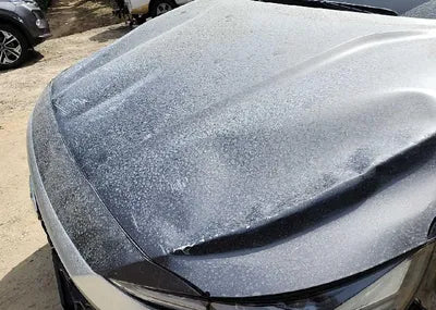 2019 Hyundai Santa FE KMHS281BBKU176591 VIN:KMHS281BBKU176591