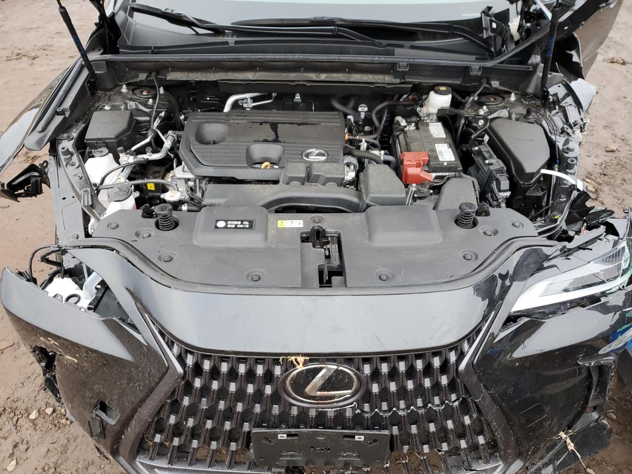 2023 LEXUS NX 250 VIN:2T2ADCEZ8PC002964