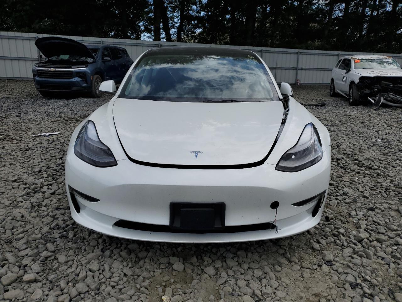 2023 TESLA MODEL 3  VIN:5YJ3E1EA7PF640031