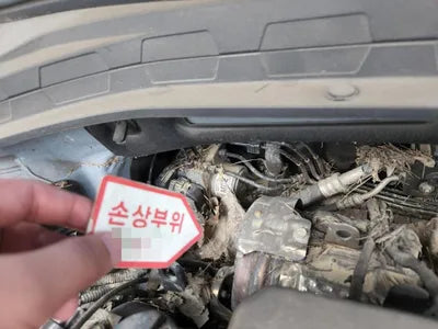 2019 Hyundai Santa FE KMHS281BDKU173749 VIN:KMHS281BDKU173749