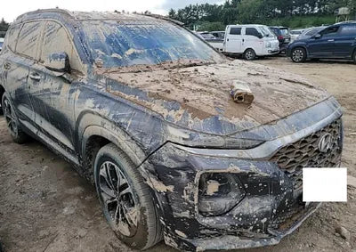 2019 Hyundai Santa FE KMHS381BDKU033487 VIN:KMHS381BDKU033487