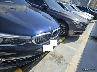 2020 BMW 520 WBAJF310XLWW54506 VIN:WBAJF310XLWW54506