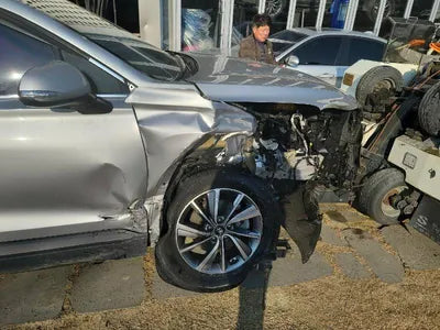 2019 Hyundai Santa FE KMHS281BBKU136301 VIN:KMHS281BBKU136301