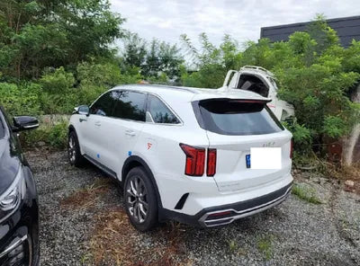 2023 Kia Sorento KNARG81FHPA195674 VIN:KNARG81FHPA195674