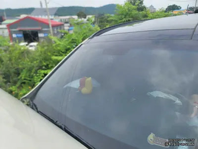 2015 Hyundai Santa FE 192KMKMHSW81UBFU4 VIN:192KMKMHSW81UBFU4