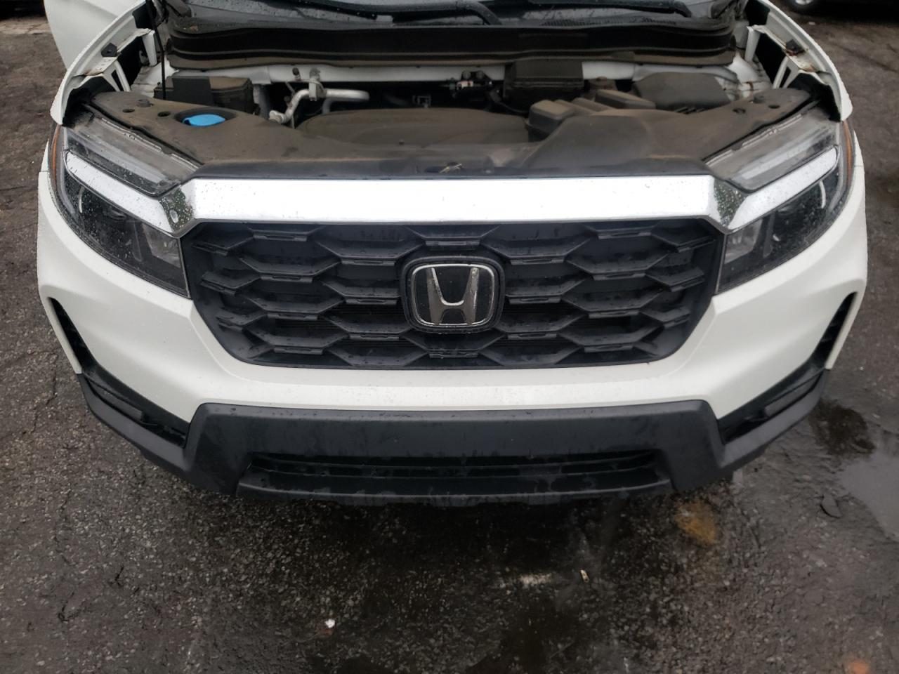 2022 HONDA PASSPORT EXL VIN:5FNYF7H56NB003049