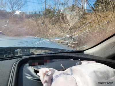 2016 Chevrolet Impala 1G1155SA2GU127837 VIN:1G1155SA2GU127837