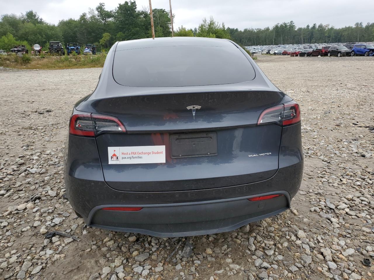 2024 TESLA MODEL Y  VIN:7SAYGDEE7RA241272