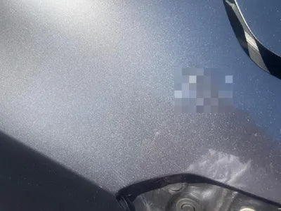 2019 Honda Accord VIN: