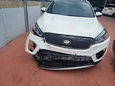 2016 Kia Sorento KNAPH81ABGA176402 VIN:KNAPH81ABGA176402