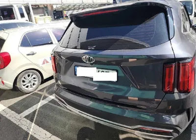 2021 Kia Sorento KNARH81BGMA012954 VIN:KNARH81BGMA012954