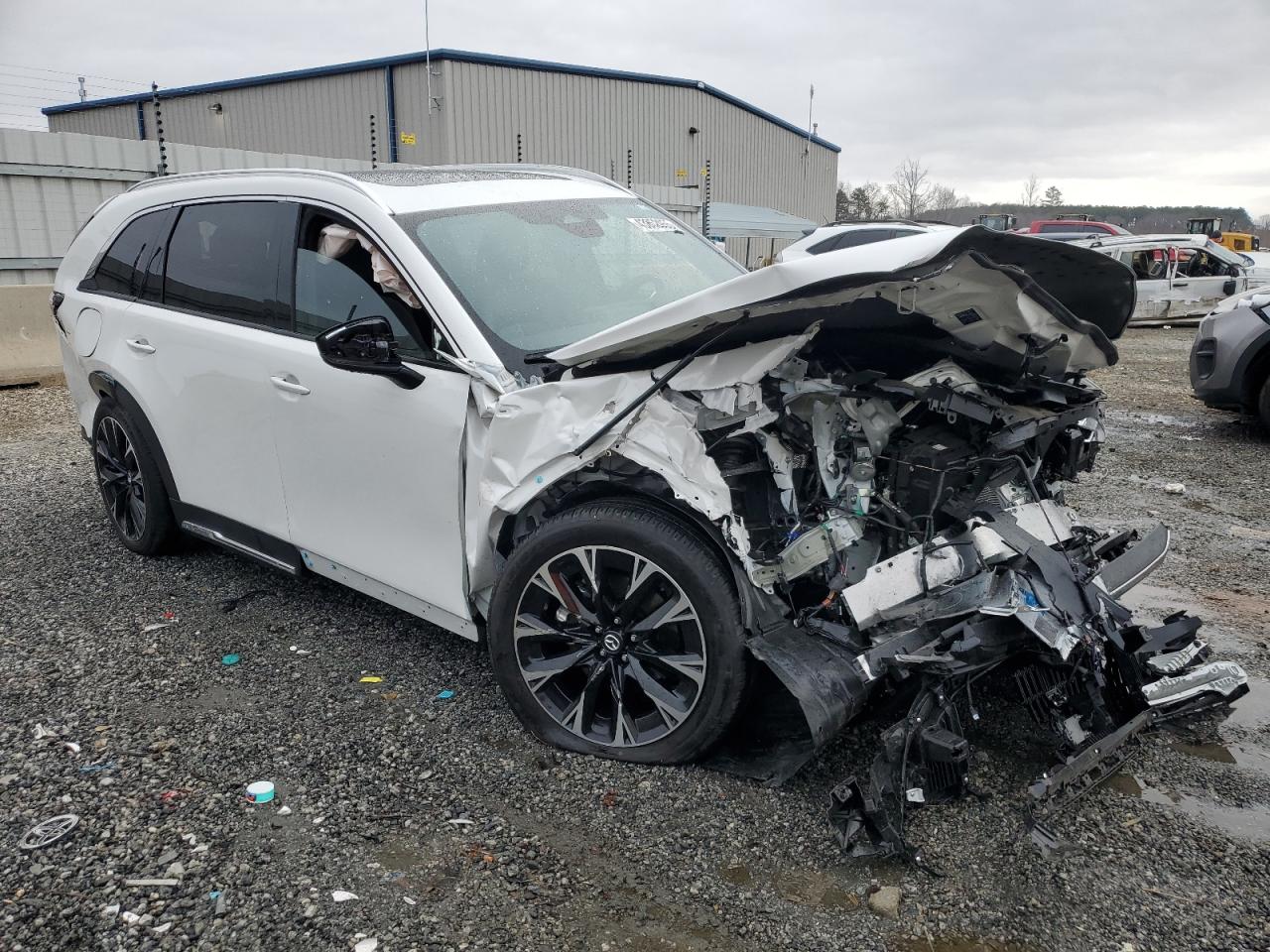 2024 MAZDA CX-90 PREMIUM PLUS VIN:JM3KKEHA0R1141176