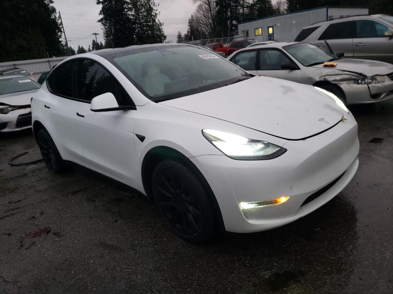 2023 TESLA MODEL Y  VIN:7SAYGAEE4PF599993