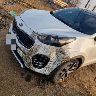 2016 Kia Sportage 423KMKNAPR813BGK0 VIN:423KMKNAPR813BGK0