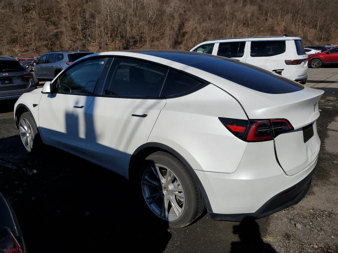 2023 TESLA MODEL Y  VIN:7SAYGDEE5PF785124