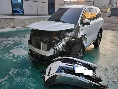 2022 Kia Sorento KNARK81GBNA072230 VIN:KNARK81GBNA072230