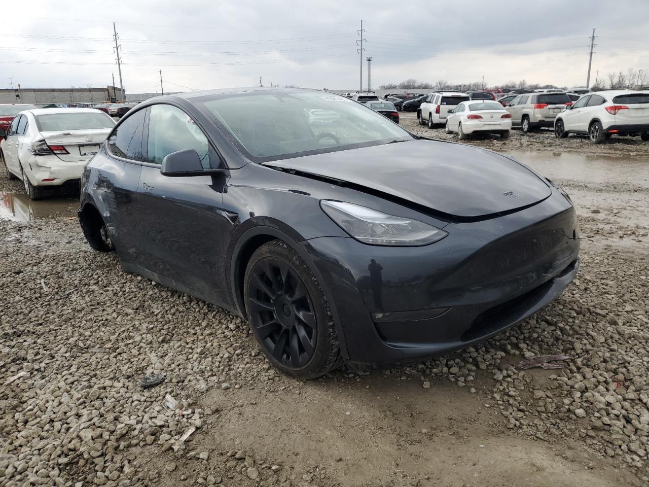 2024 TESLA MODEL Y  VIN:7SAYGDEEXRF988853