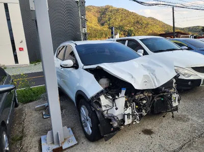 2016 Kia Sportage KNAPM813BGK004198 VIN:KNAPM813BGK004198