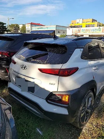 2018 Hyundai Kona KMHK3816GJU205522 VIN:KMHK3816GJU205522