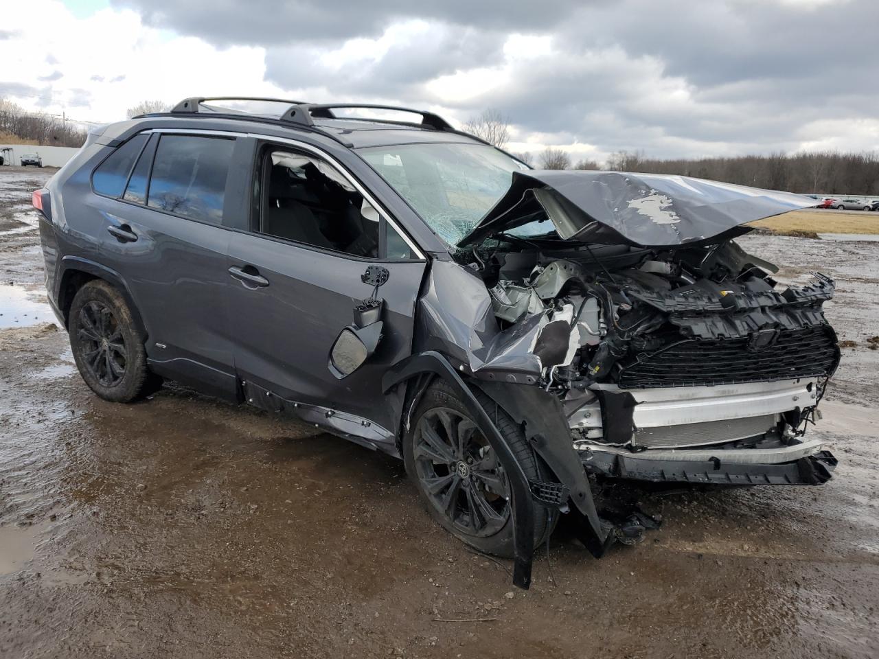 2024 TOYOTA RAV4 SE VIN:4T3T6RFV0RU146202