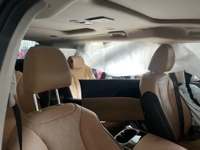 2021 Kia Carnival KNANC81BBMS029359 VIN:KNANC81BBMS029359