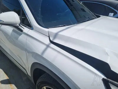 2019 Hyundai Santa FE KMHS281BDLU257047 VIN:KMHS281BDLU257047