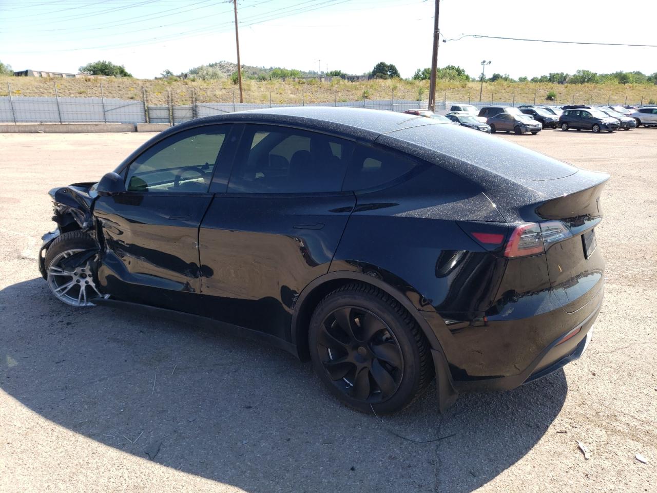 2023 TESLA MODEL Y  VIN:7SAYGDEE9PF699184