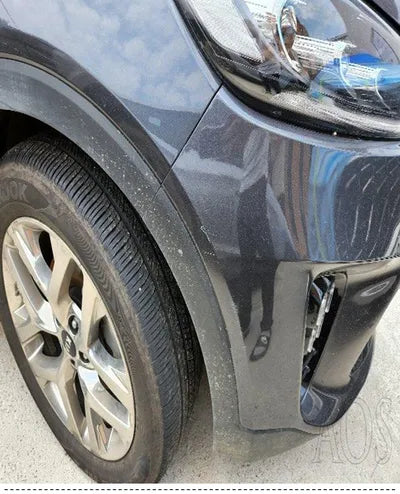 2020 Kia Sorento KNAPH81BDLA596979 VIN:KNAPH81BDLA596979