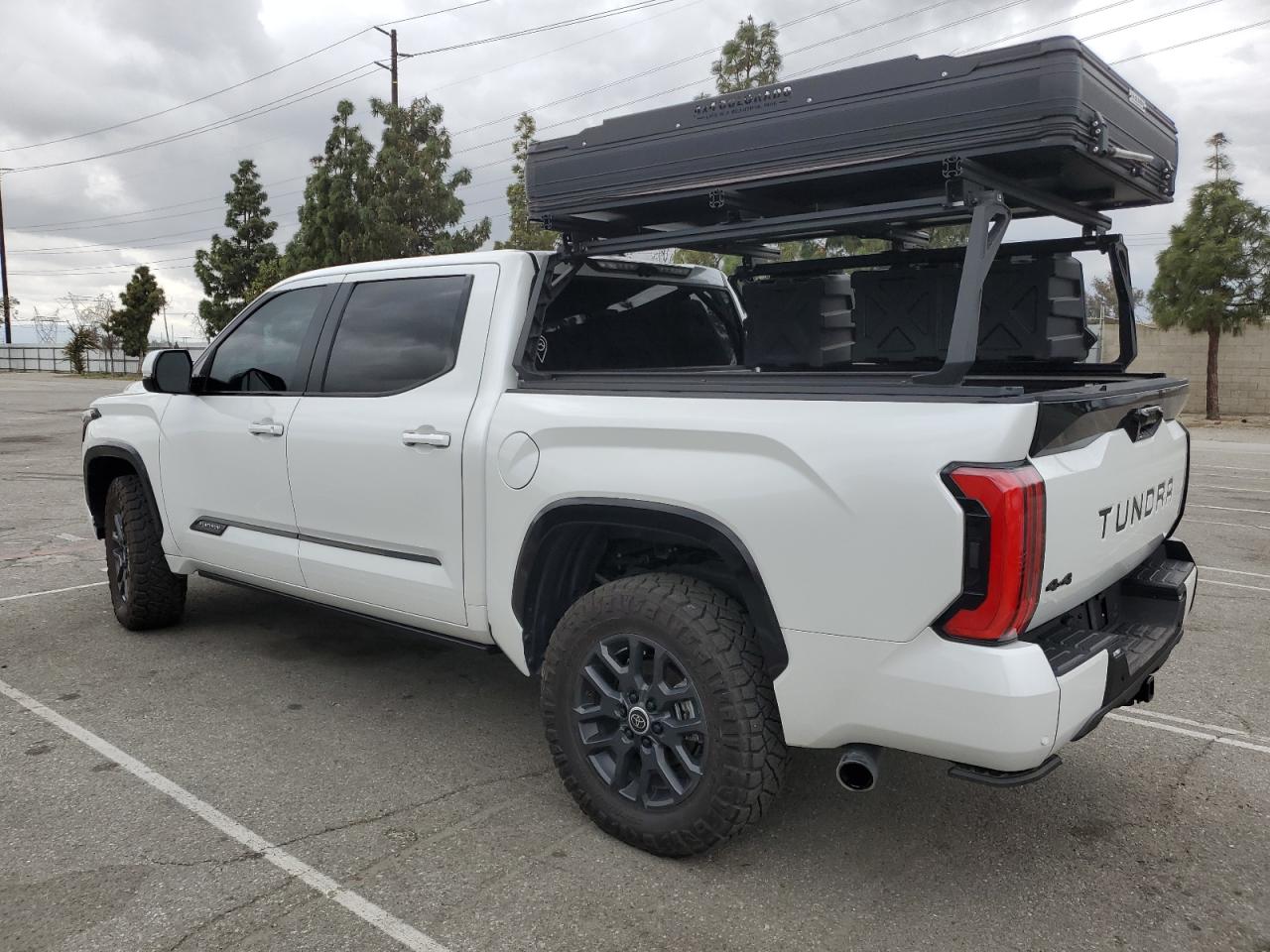 2024 TOYOTA TUNDRA CREWMAX PLATINUM VIN:5TFNC5DB6RX048239