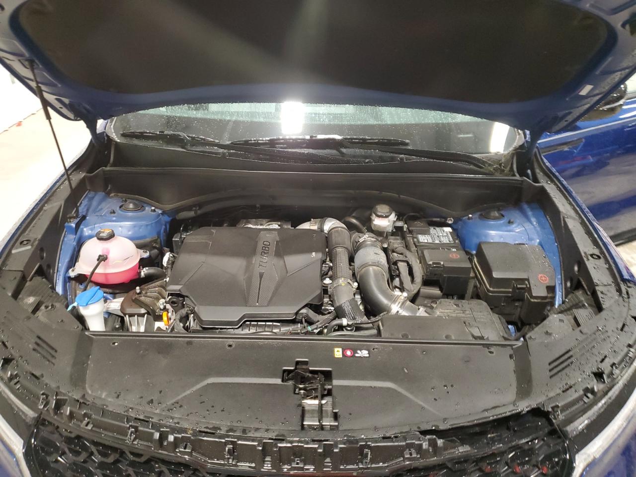 2023 KIA SORENTO SX VIN:5XYRKDLF5PG188379