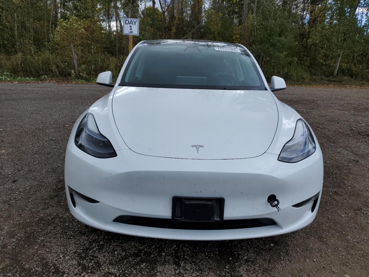 2023 TESLA MODEL Y  VIN:LRWYGDFD5PC967631