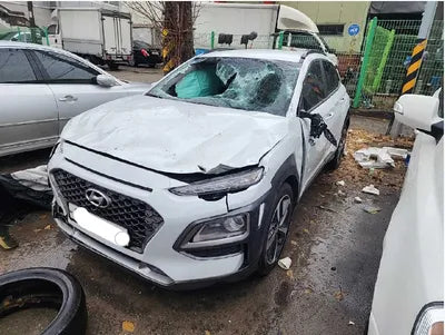 2018 Hyundai Kona KMHK7815GJU015197 VIN:KMHK7815GJU015197