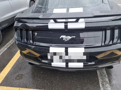 2019 Ford Mustang VIN: