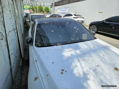 2018 Genesis G70 VIN: