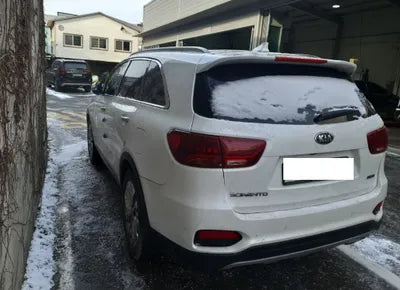 2019 Kia Sorento KNAPG81BBKA487503 VIN:KNAPG81BBKA487503
