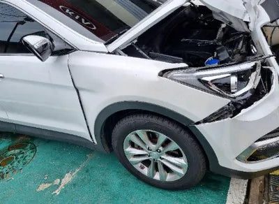 2018 Hyundai Santa FE KMHSW81UBJU798895 VIN:KMHSW81UBJU798895