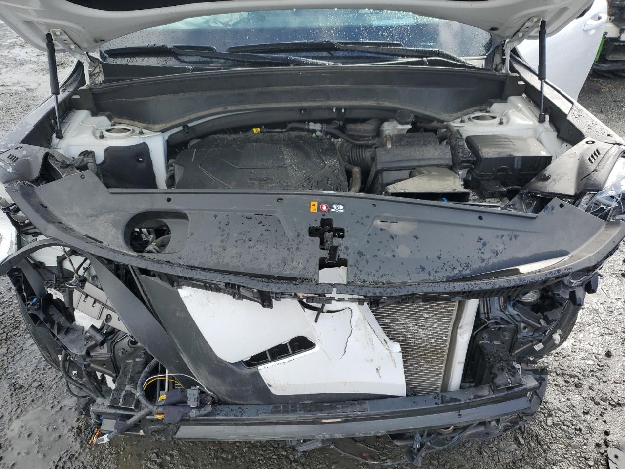 2023 KIA TELLURIDE SX VIN:5XYP5DGC9PG350576