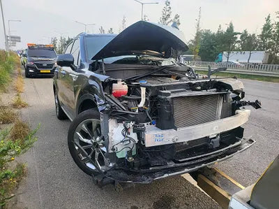 2021 Kia Sorento KNARK81BGMA108062 VIN:KNARK81BGMA108062