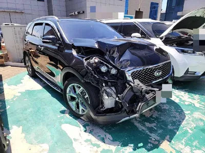 2016 Kia Sorento KNAPH81ABGA217744 VIN:KNAPH81ABGA217744