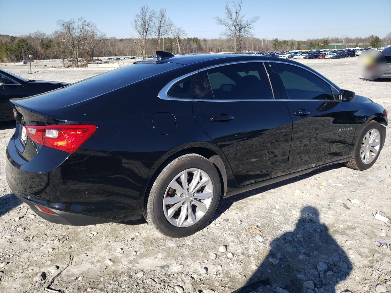2023 CHEVROLET MALIBU LT VIN:1G1ZD5ST5PF125835