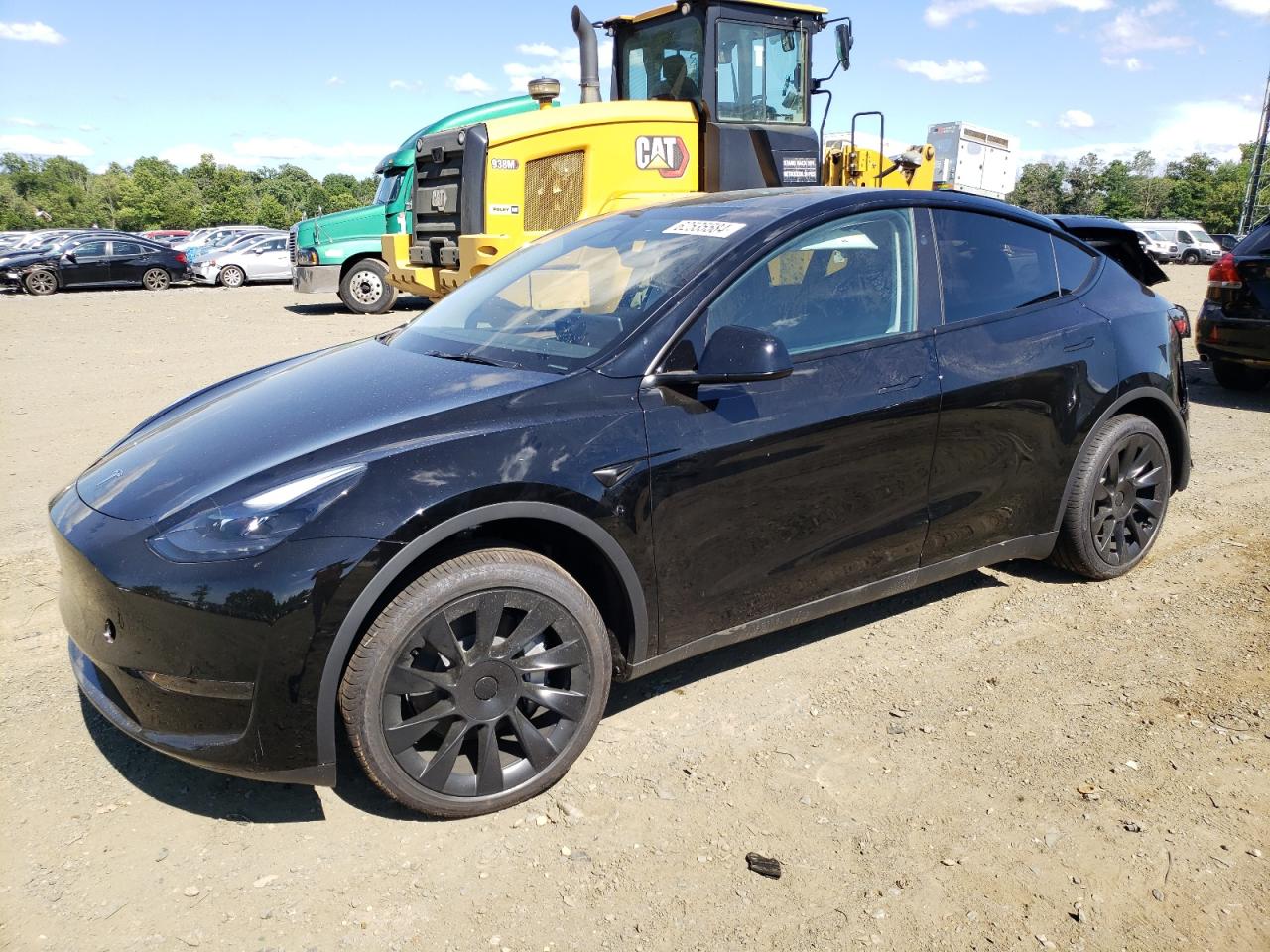 2024 TESLA MODEL Y  VIN:7SAYGDED4RF091972