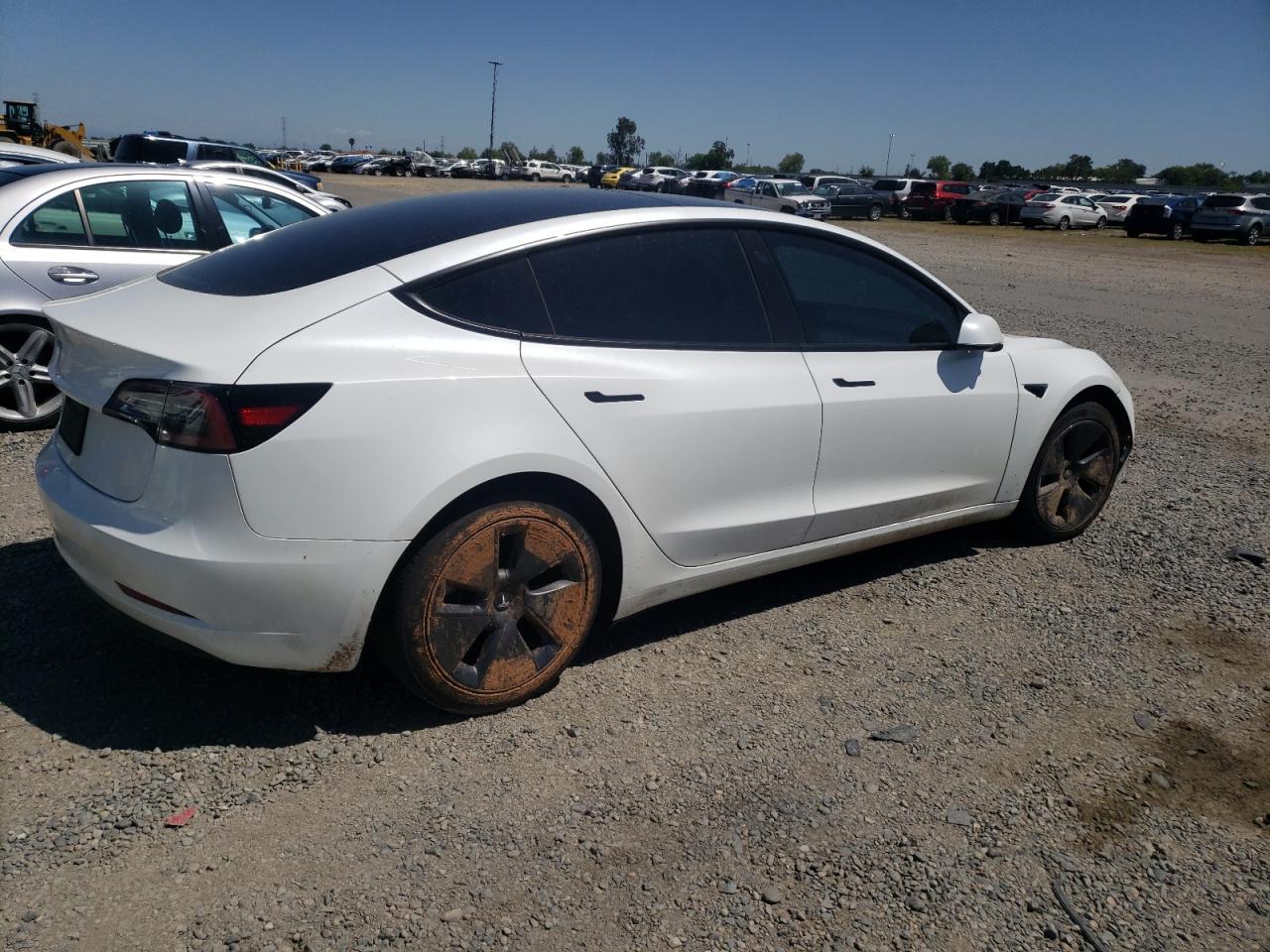 2023 TESLA MODEL 3  VIN:5YJ3E1EA4PF540713