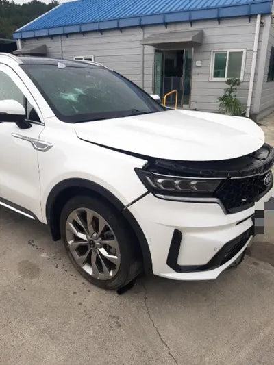 2021 Kia Sorento KNARK81BHMA012892 VIN:KNARK81BHMA012892