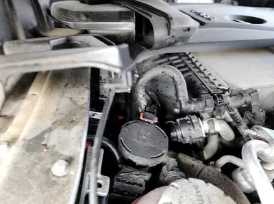 2020 Mercedes-Benz GLC 300 W1N0J5DB0LF831403 VIN:W1N0J5DB0LF831403