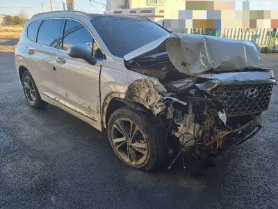 2019 Hyundai Santa FE KMHS581CDKU150496 VIN:KMHS581CDKU150496