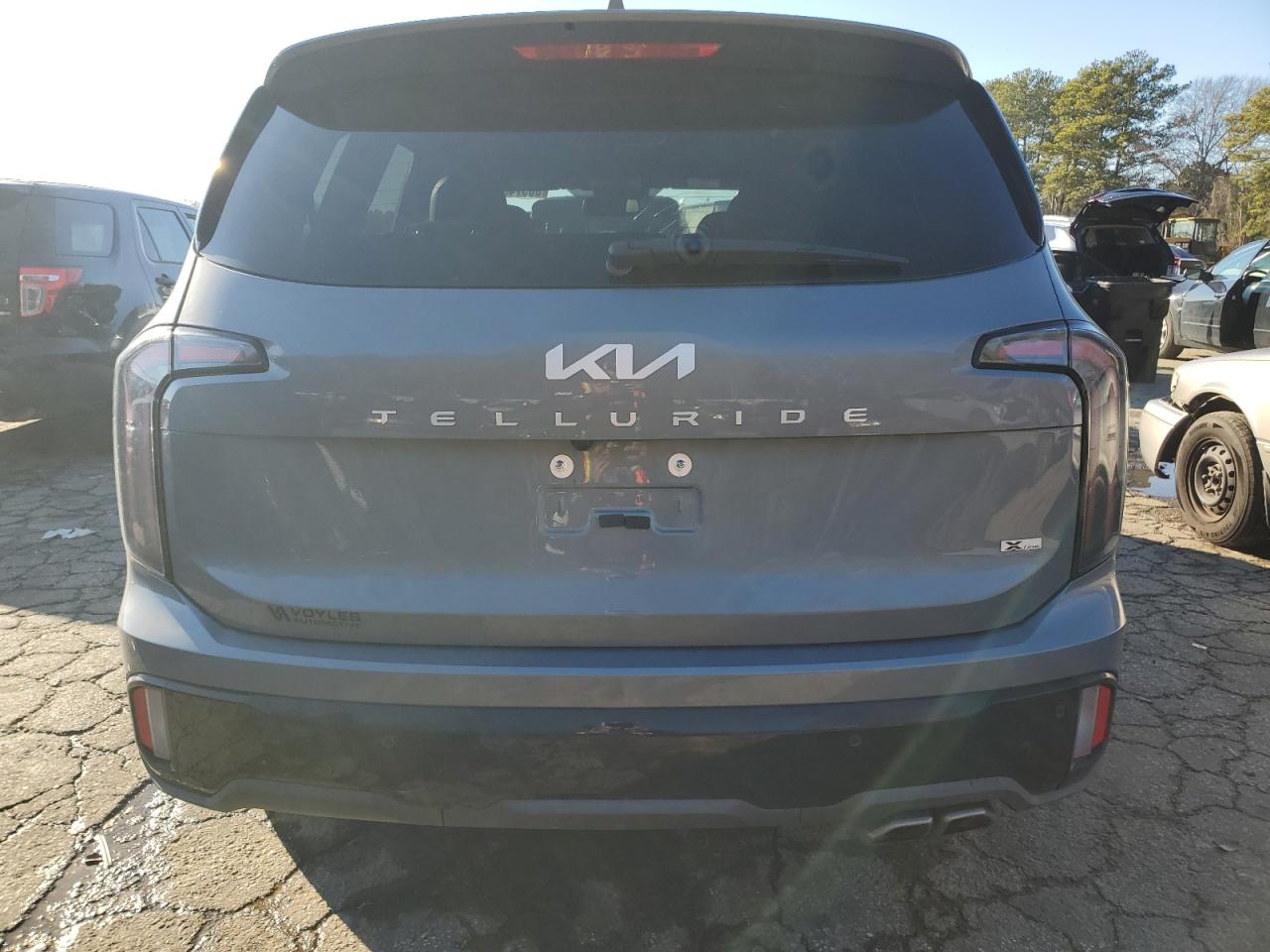 2024 KIA TELLURIDE SX VIN:5XYP5DGC1RG541895