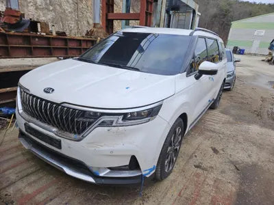 2020 Kia Carnival KNANC81BBMS004429 VIN:KNANC81BBMS004429