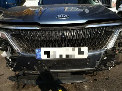 2021 Kia Carnival KNANC813BMS119768 VIN:KNANC813BMS119768